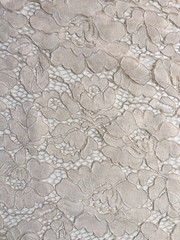 Summer BEIGE Floral Pattern Double Dyed Flat Lace on Mesh Fabric by the Yard –