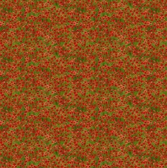 Timeless Treasures Poppy Passion Tiny Red Poppy Field Cotton Fabric by the Yard