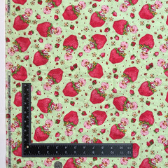 VTG Strawberry Shortcake Those Characters From Cleveland 2003 Flannel Green BTY