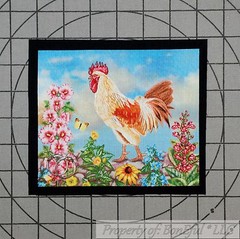 BonEful Fabric FQ Cotton Quilt Old Applique Red Rooster Chicken Yellow Sunflower