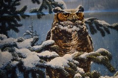 Winter Vigil Great Horned Owl Fabric Panel Cotton 36 inches X 45 inches