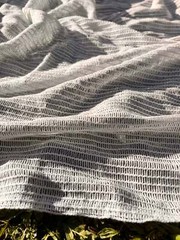 Mesh Cotton Soft Organic Fabric, White Check Pattern See- Through By 2 Meters
