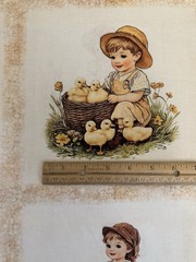 LIL FARMERS BLOCKS QUILTING TREASURES FABRIC PANEL 36″X44″