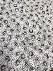 SUNFLOWER SUNFLOWERS BLACK WHITE 1 yard 100% Cotton Fabric Free Ship SBX1