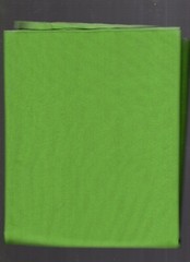 1 yard glissinet 60″ wide 90% nylon 10% spandex green