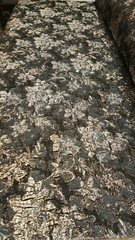 Black Blue Jacquard Gold Metallic Floral Flowers Brocade Fabric By The Yard Gown