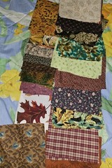 Lot Of 5 Pieces Of Mixed Patterns Fall Themed Cotton Fabric & 70 X 6.5″ Squares