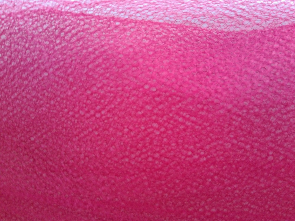 RASPBERRY NETTING 100% NYLON FABRIC 68X70 INCHES 1.8 YARDS