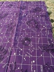 Vintage 1960s Brookhaven Zodiac Astrology Fabric 37 X 43 Condition!