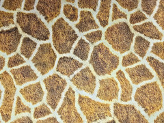 Animal Kingdom Fabric Giraffe Robert Kaufman 37″ x 44″ wide + 32″ x 44″ wide