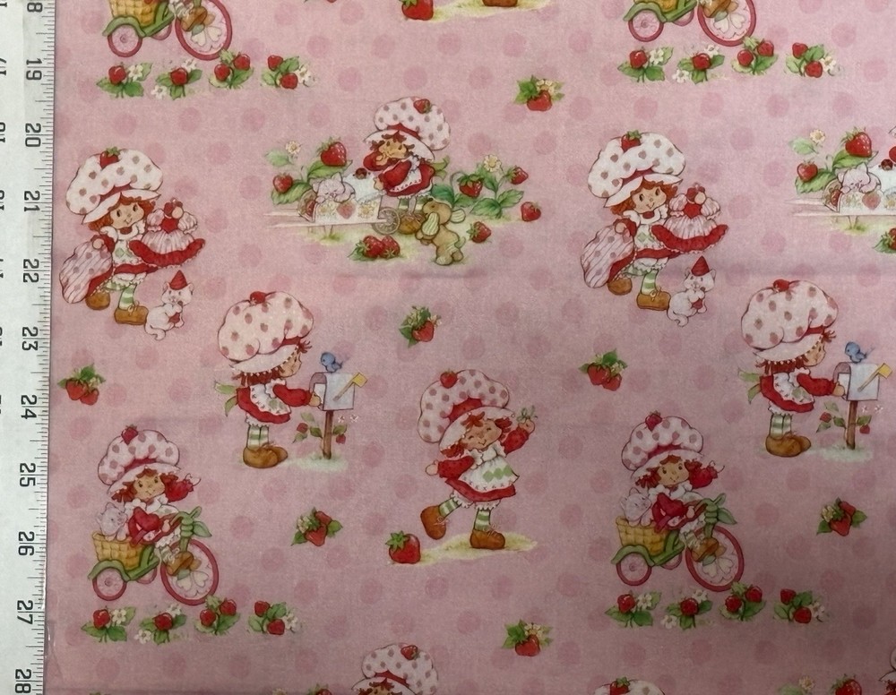 Strawberry Shortcake on Pink Fabric – BTFQ: 18″ x 21”