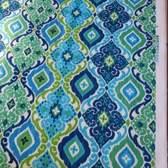 An Original Screen Print Design by Solarium Fabric A Division of Richloom 2 yds