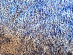 MULTI BLUE EYELASH STRIPES SEMISHEER POLYESTER BLEND FABRIC 19X60″ + 28X40″ REM