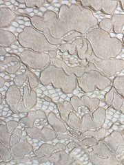 Summer BEIGE Floral Pattern Double Dyed Flat Lace on Mesh Fabric by the Yard –