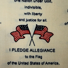 Vtg Springs Industries Fabric American Pride 5128 Pledge of Allegiance 2yds 31in