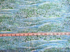 1 yd Cotton Fabric “The State Flowers – Forget Me Not” by Northcott Fabric