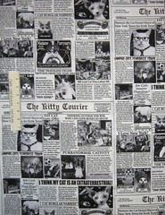 Pet Fabric – Black & White Cat Newspaper Funny Puns – Timeless Treasures YARD