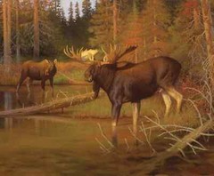 Majestic in Nature Digitally Printed 36in x 43in Low Country Mulies Panel Deer