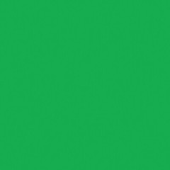 Northcott – ColorWorks Premium Solid 9000 – Kelly, Fabric by the yard