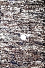NORTHCOTT STONEHENGE #39080-1 “WOODLAND”BTY