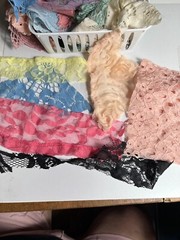 large lot of mostly lace scraps or snippets 5 oz. used in crafts, junk journals