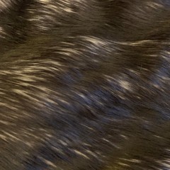 Bristol BLACK Tip Candy Shag Long Pile Soft Faux Fur Fabric for Fursuit, Cospla