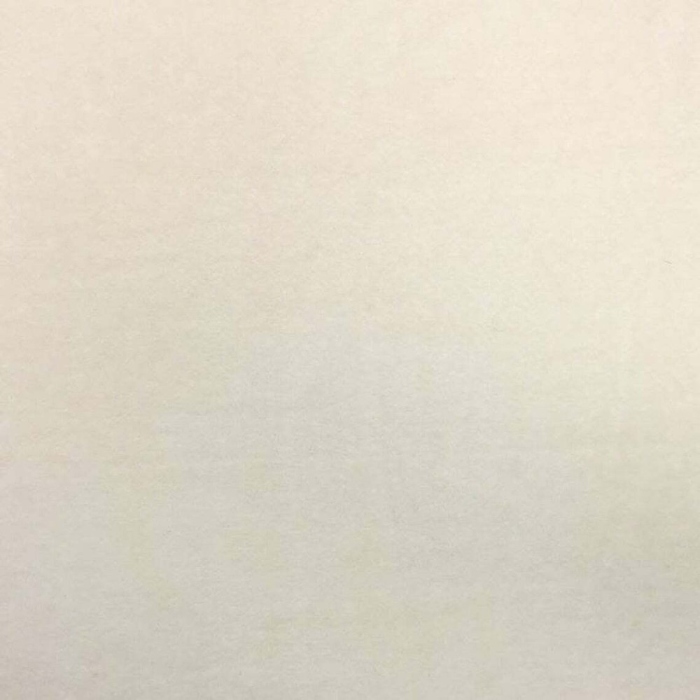 Minky Ivory Solid Warm Cozy Fabric – By The Yard