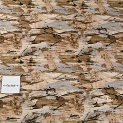 Naturescape Print; Beach, Rocks, Fields or Desert, Browns, Cotton, BTHY or BTY