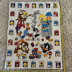 Vintage Looney Toons Sesame Street Cartoon Taz Tweety Sewing Fabric Penal Lot 7