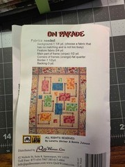 Urban Winter by Stephanie Brandenburg of Camelot Cotton for Quilt w/ pattern