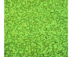 Luxury Sequin Dance Wear Stretch Fabric Material – FLO YELLOW