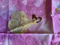Disney Princesses 18″ x 17″ Cotton Fabric Sewing Crafting One Piece