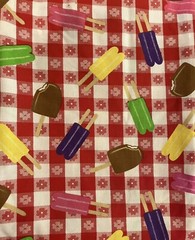 Summer Red Floral Picnic Plaid Cotton Fabric Popsicles 2 Pieces 4.5 Yards 56”W