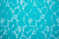 Cotton Nylon Lace woven fabric 58″ Wide beautiful lace Floral soft Minty Green
