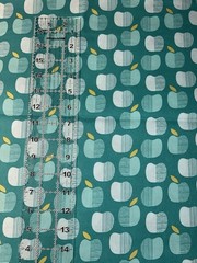 2 Yards Cloud 9 Organic Quilting Cotton Fabric Market Day Apples Teal Aqua