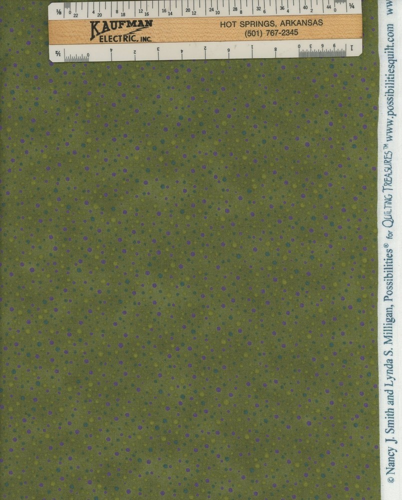 Possibilities Nancy Smith Lynda Milligan Quilting Treasures Cotton Green BTY