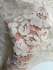 Summer BEIGE Floral Pattern Double Dyed Flat Lace on Mesh Fabric by the Yard –