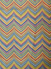 Multicolor Chevron Original Screen Print Solarium Richloom 54X41 Rozelle Garden