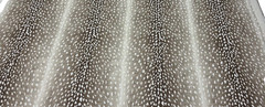 TREND VERN YIP PERTH BARK BROWN DEER SKIN LINEN FABRIC REMNANT 28″LONG X 54″W