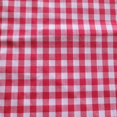 Red and White 1/4″ Gingham Check Fabric 2 Yards + 16″ x 44″ Wide Unbranded