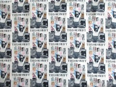 Taylor Swift Eras Tour Posters on 100% Cotton Fabric by the 1/4 Yard : 9″ x 57″