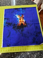 Aladdin Cotton/Lycra Fabric Panel – Approx. 17″ x 21″ – New